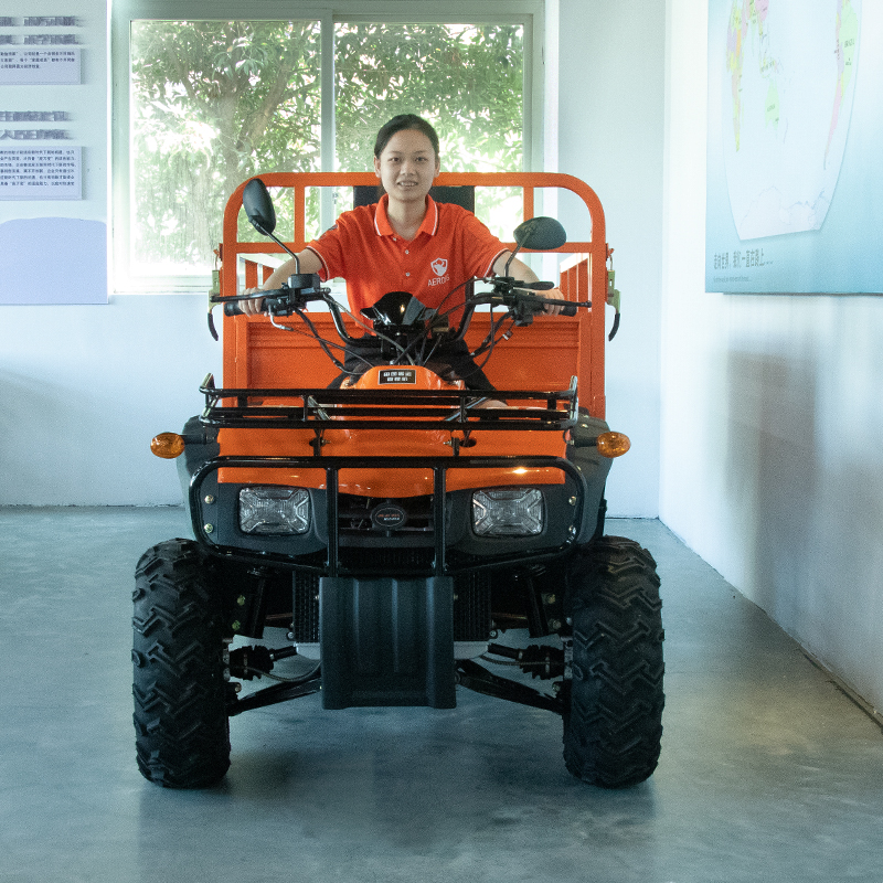 Electric 4x4 Farm Big Quad Bik - Outdoor Adventure Farm recensione e prezzo