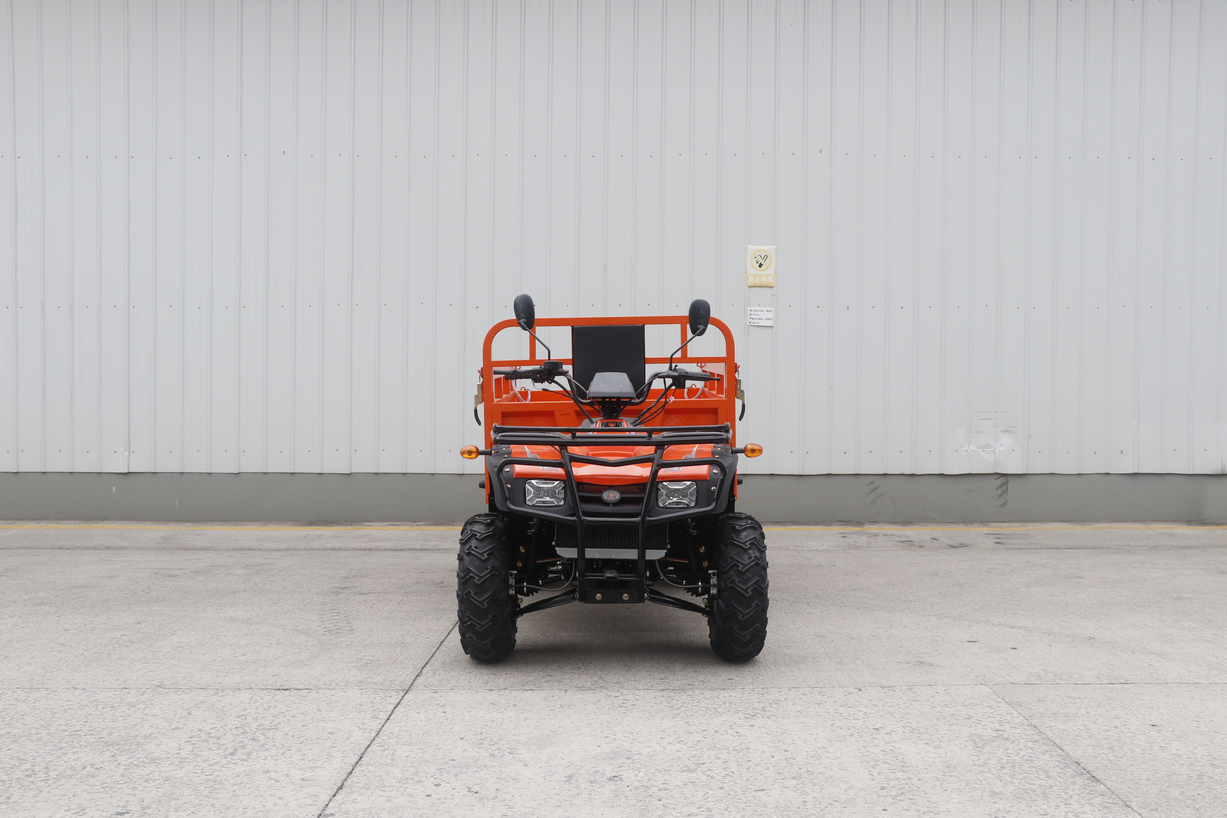 Electric 4x4 Farm Big Quad Bik - Outdoor Adventure Farm recensione e prezzo